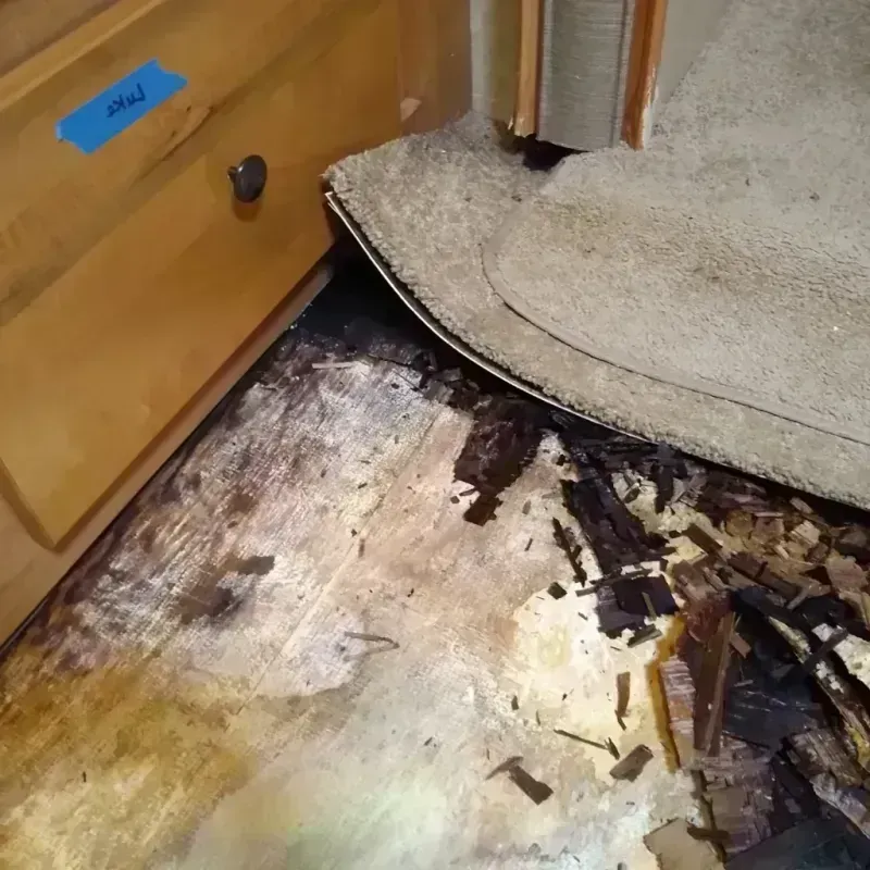 Wood Floor Water Damage in Royalton, IL